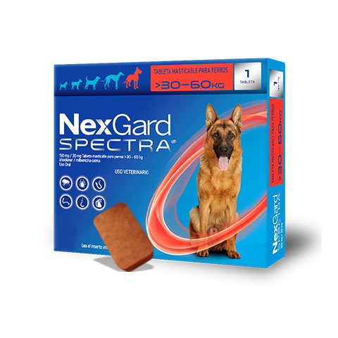 Nexgard Spectra 30 - 60 Kilos